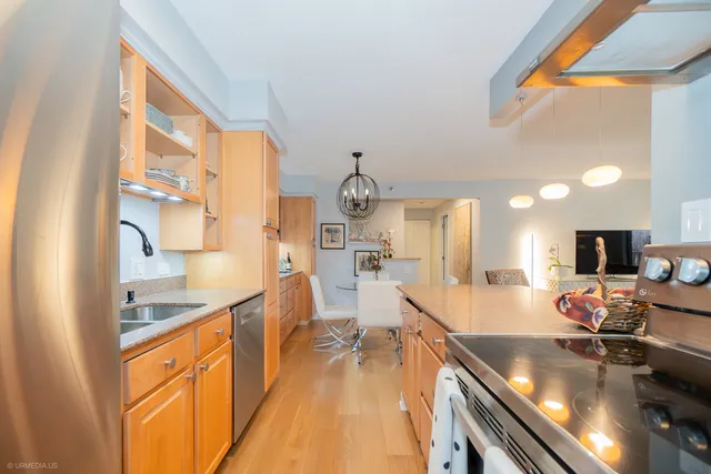 $445,000 | 1250 North Dearborn Street, Unit 5B, Chicago, IL 60610