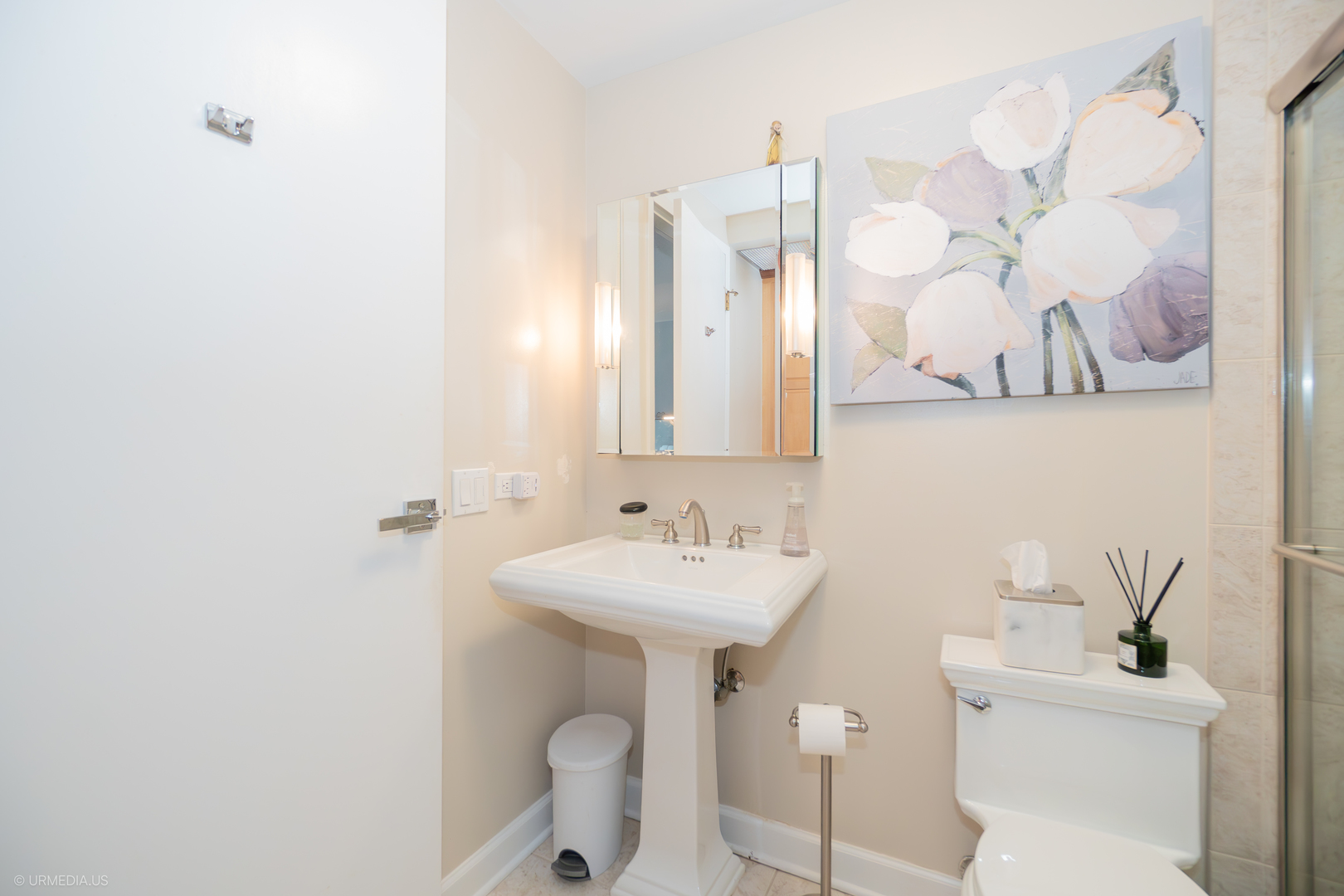 1250 North Dearborn Street, Unit 5B Chicago, IL 60610 - Photo 28 of 50