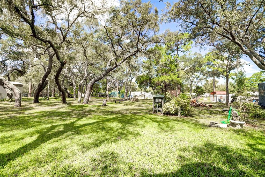 3307 Keye Drive Spring Hill, FL 34606 - Photo 8 of 29 a view of yard with trees