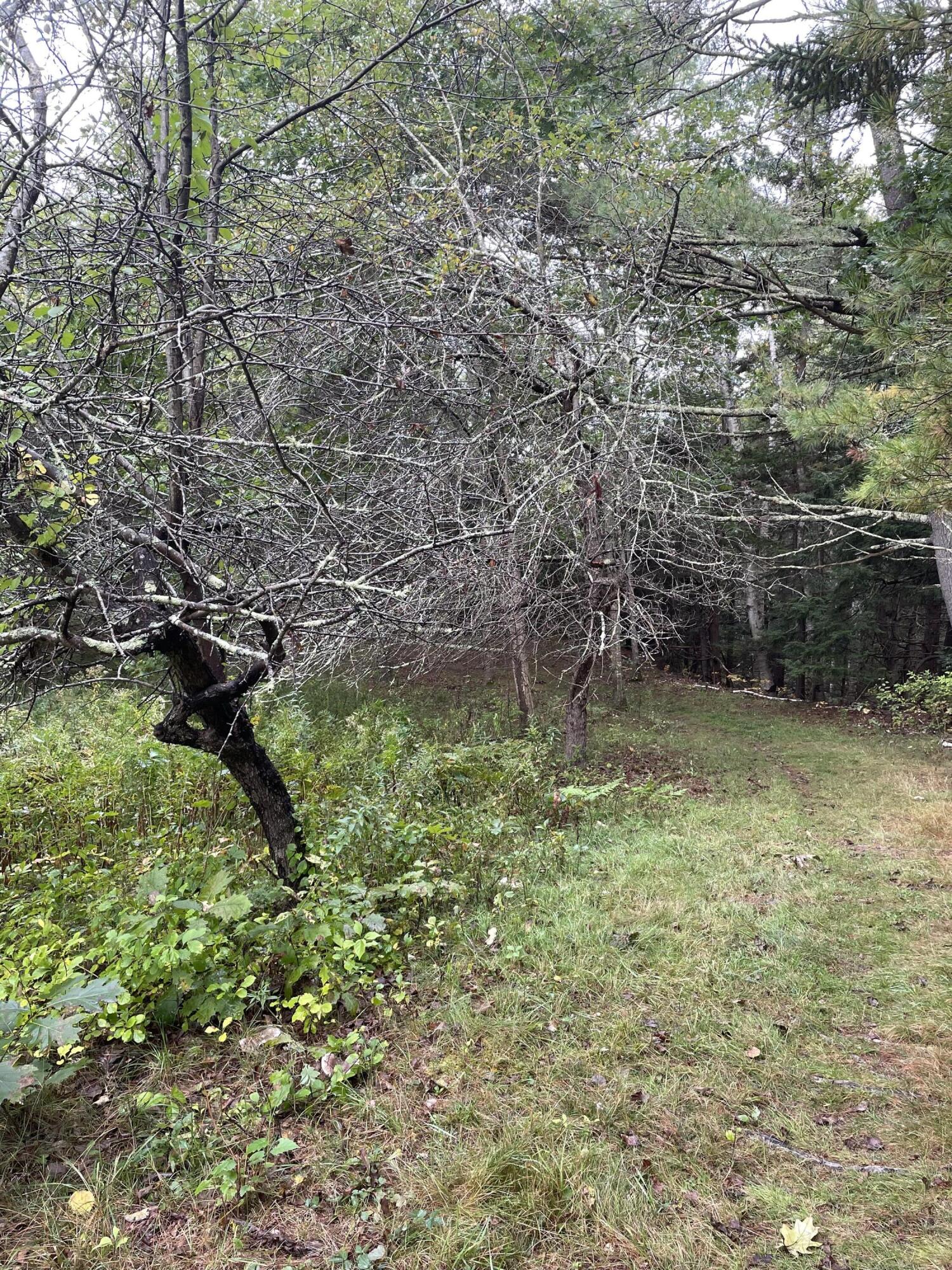102 Wolfe's Neck Road Freeport, ME 04032 - Photo 97 of 112 IMG_0521