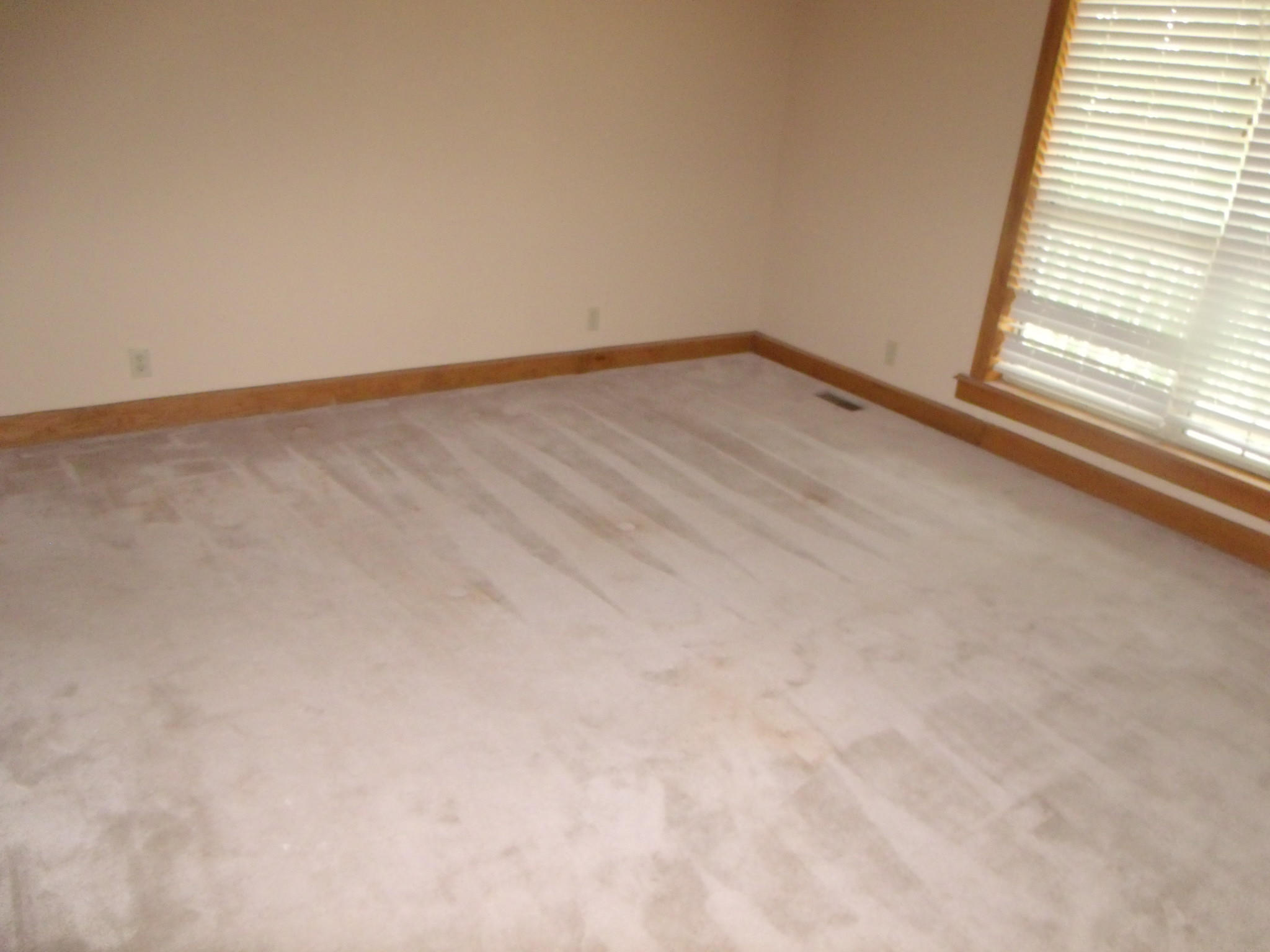 177 Whipperwill Lane Rutledge, TN 37861 - Photo 3 of 10 GEDC8539