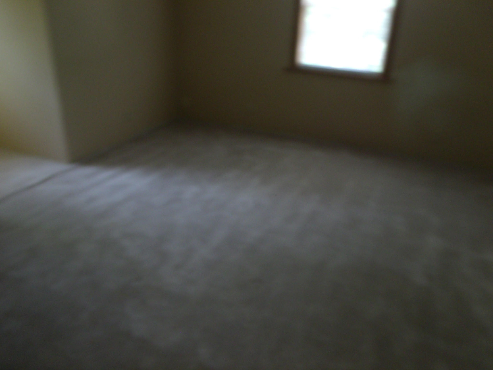 177 Whipperwill Lane Rutledge, TN 37861 - Photo 7 of 10 GEDC8549