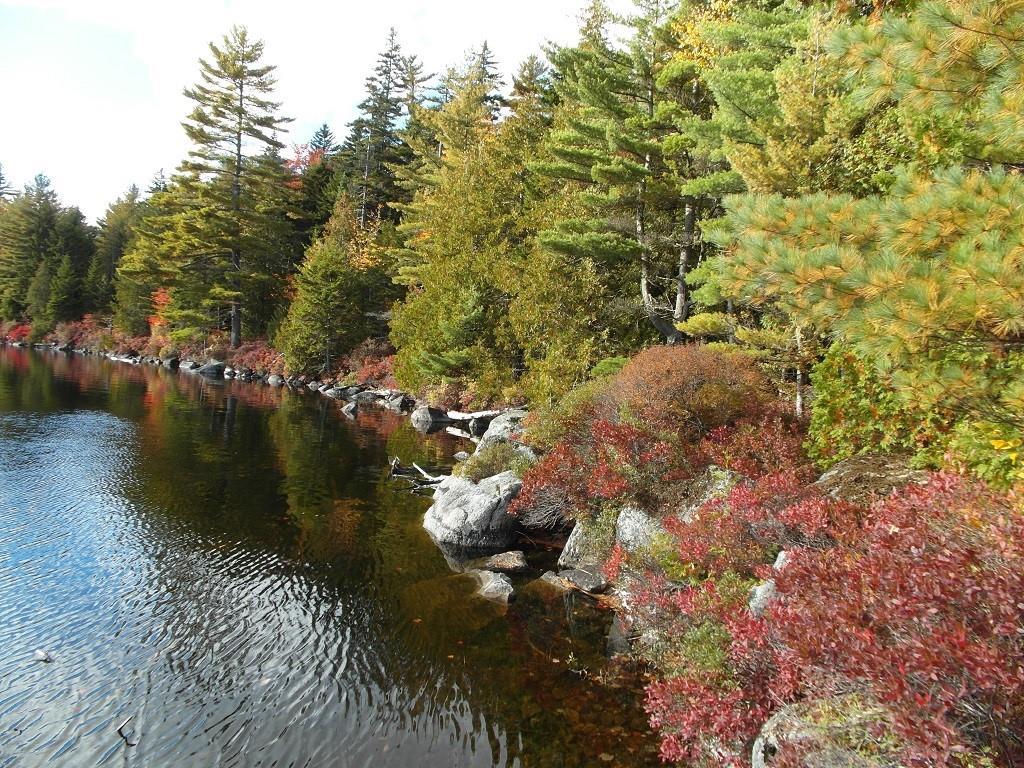 Lot#11 Southwest Pond Road Beddington, ME 04622 - Photo 28 of 35 There are neighbors on the pond but...