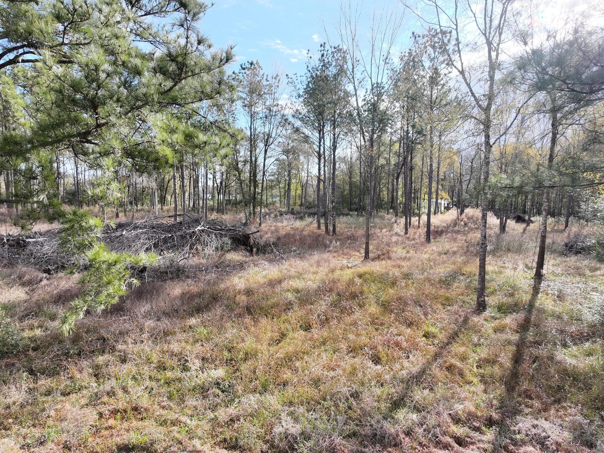 2221 FM 770 Road South Hull, TX 77564 - Photo 2 of 38 Partially cleared