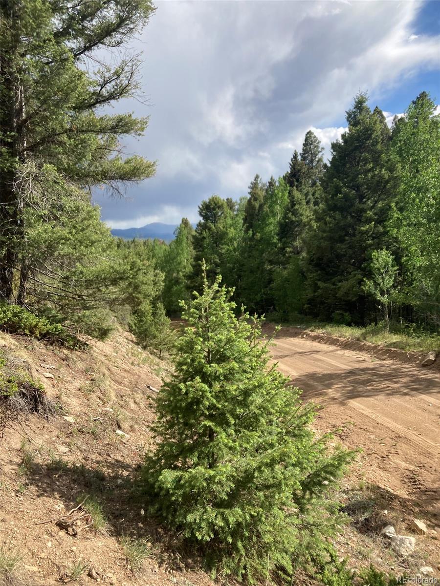 Lot 6461 Jacquez Road San Luis, CO 81152 - Photo 16 of 22