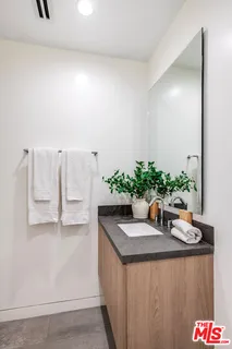 a kitchen with a sink and a potted plant