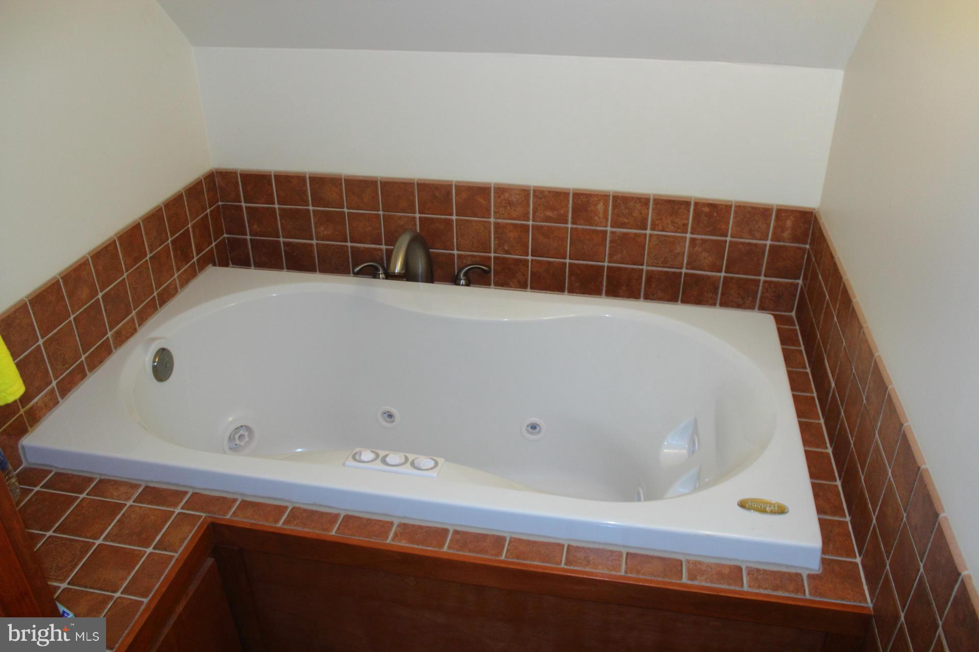7107 Masters Road New Market, MD 21774 - Photo 8 of 26 Bath (Master)