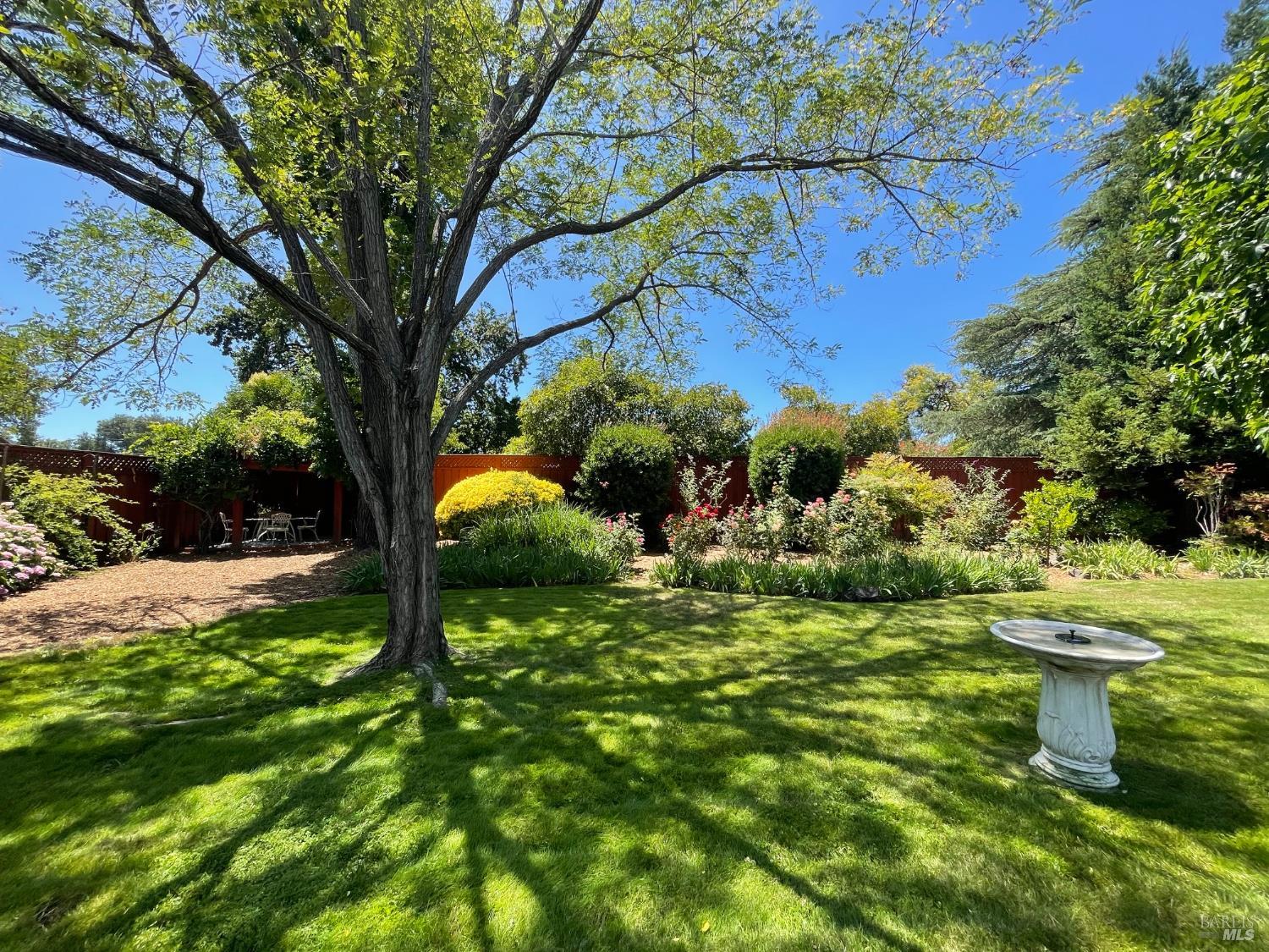 373 Piezzi Road Santa Rosa, CA 95401 - Photo 38 of 55 a backyard of a house with lots of green space