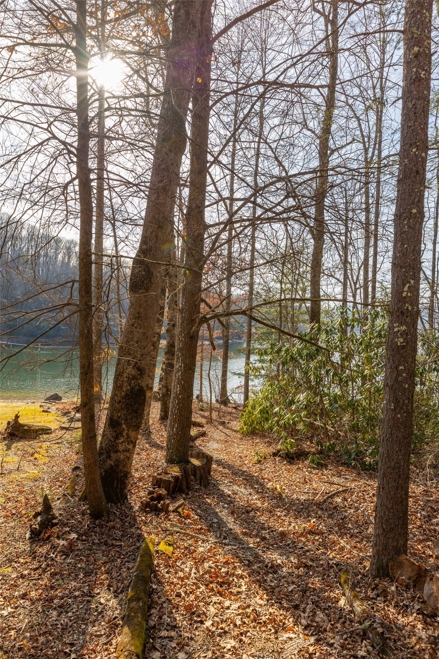 Lot 9 Splendor Cove Road Cullowhee, NC 28723 - Photo 22 of 39 Gallery Image 22