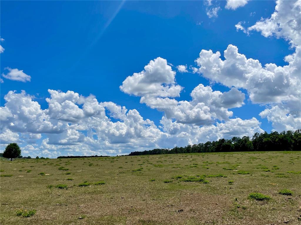 Parrish Grove Road Dade City, FL 33523 - Photo 12 of 23 a view of a lake