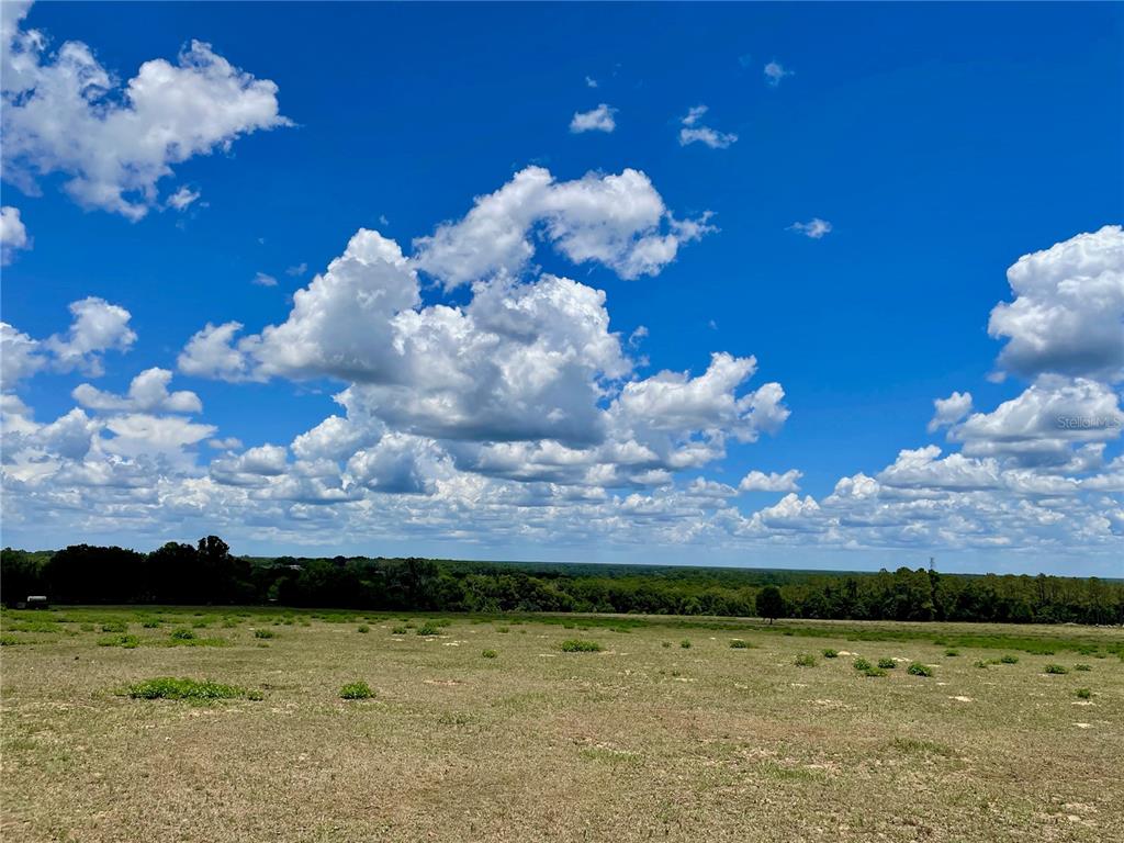Parrish Grove Road Dade City, FL 33523 - Photo 2 of 23 a view of a yard with an ocean