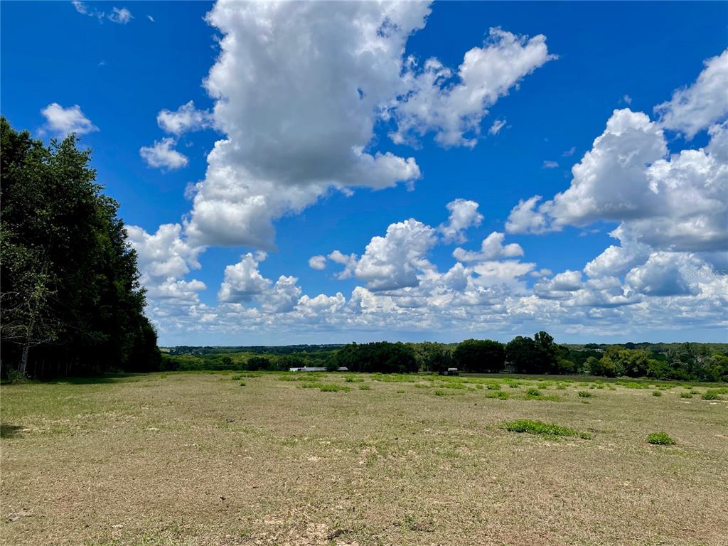 Parrish Grove Road Dade City, FL 33523 - Photo 3 of 23 a view of a yard