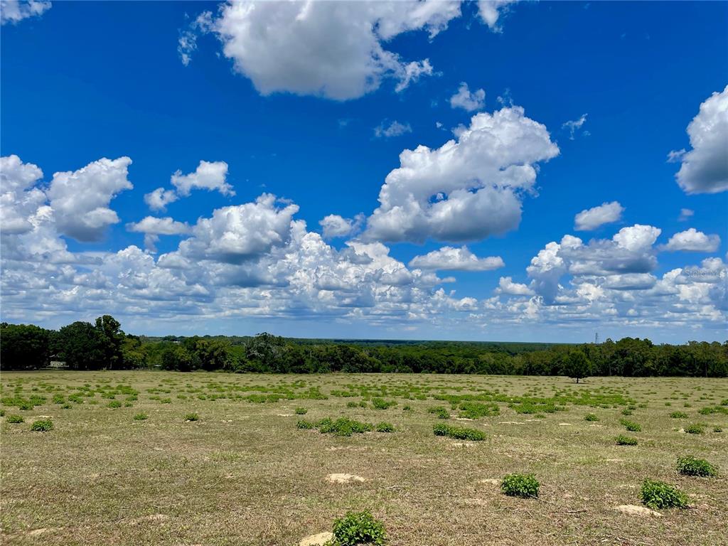 Parrish Grove Road Dade City, FL 33523 - Photo 4 of 23 a view of a yard
