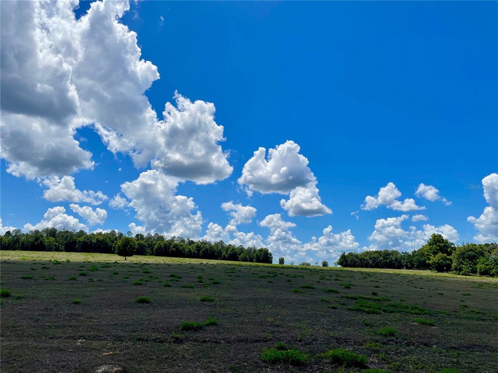 Parrish Grove Road Dade City, FL 33523 - Photo 5 of 23 a view of a big yard