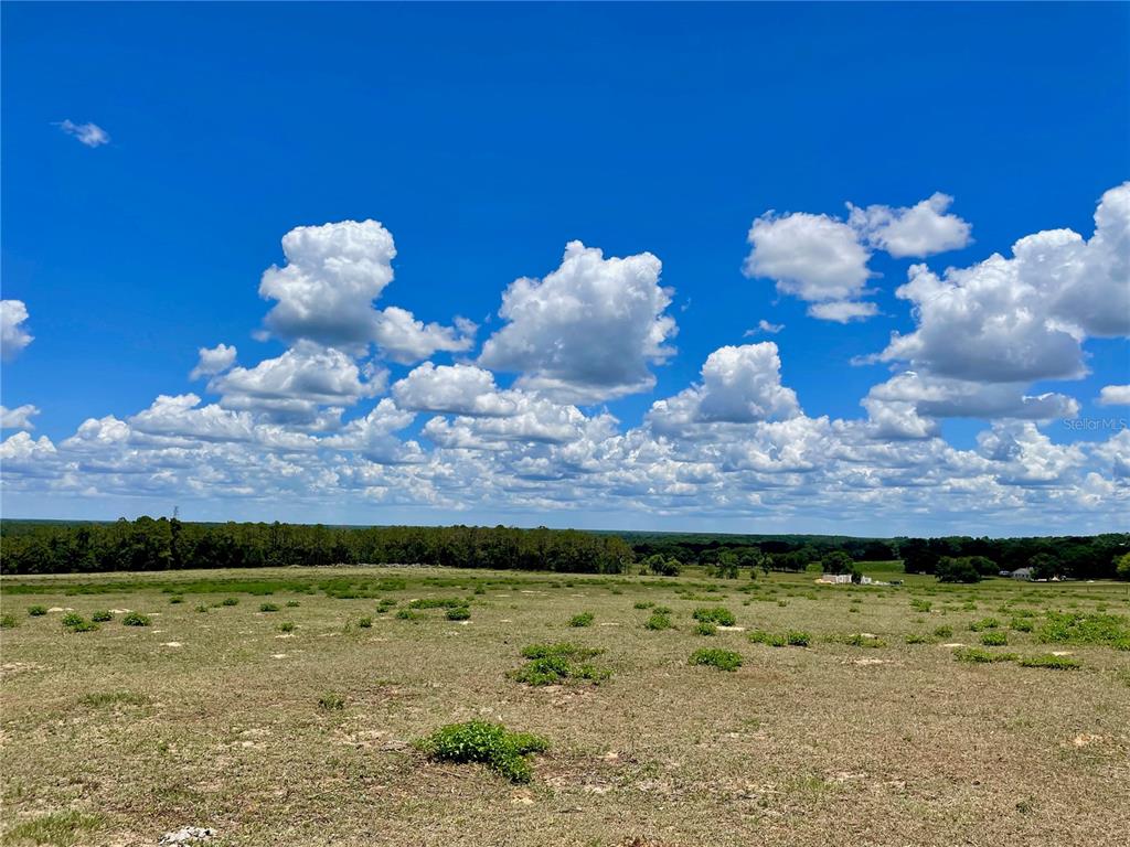 Parrish Grove Road Dade City, FL 33523 - Photo 9 of 23 a view of a lake with a house