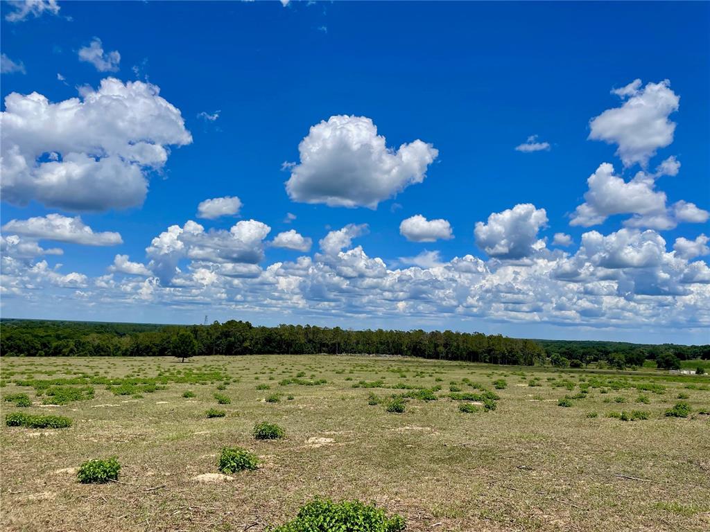 Parrish Grove Road Dade City, FL 33523 - Photo 10 of 23 a view of a yard with an umbrella