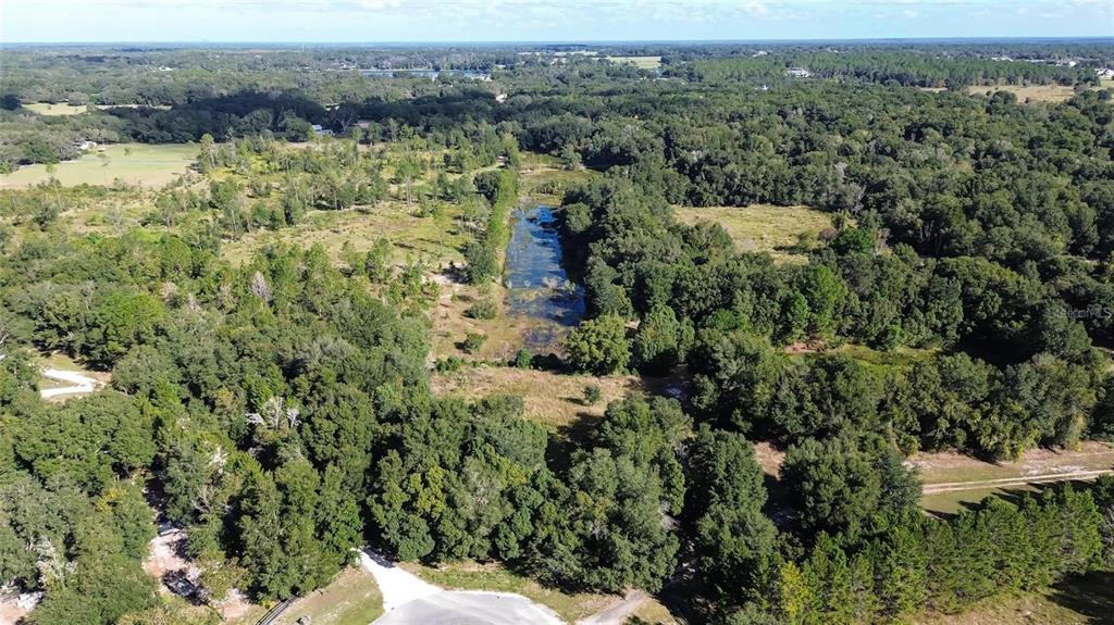 6 Tree Frog Lane Eustis, FL 32736 - Photo 8 of 19 an aerial view of a houses with a lush green hillside