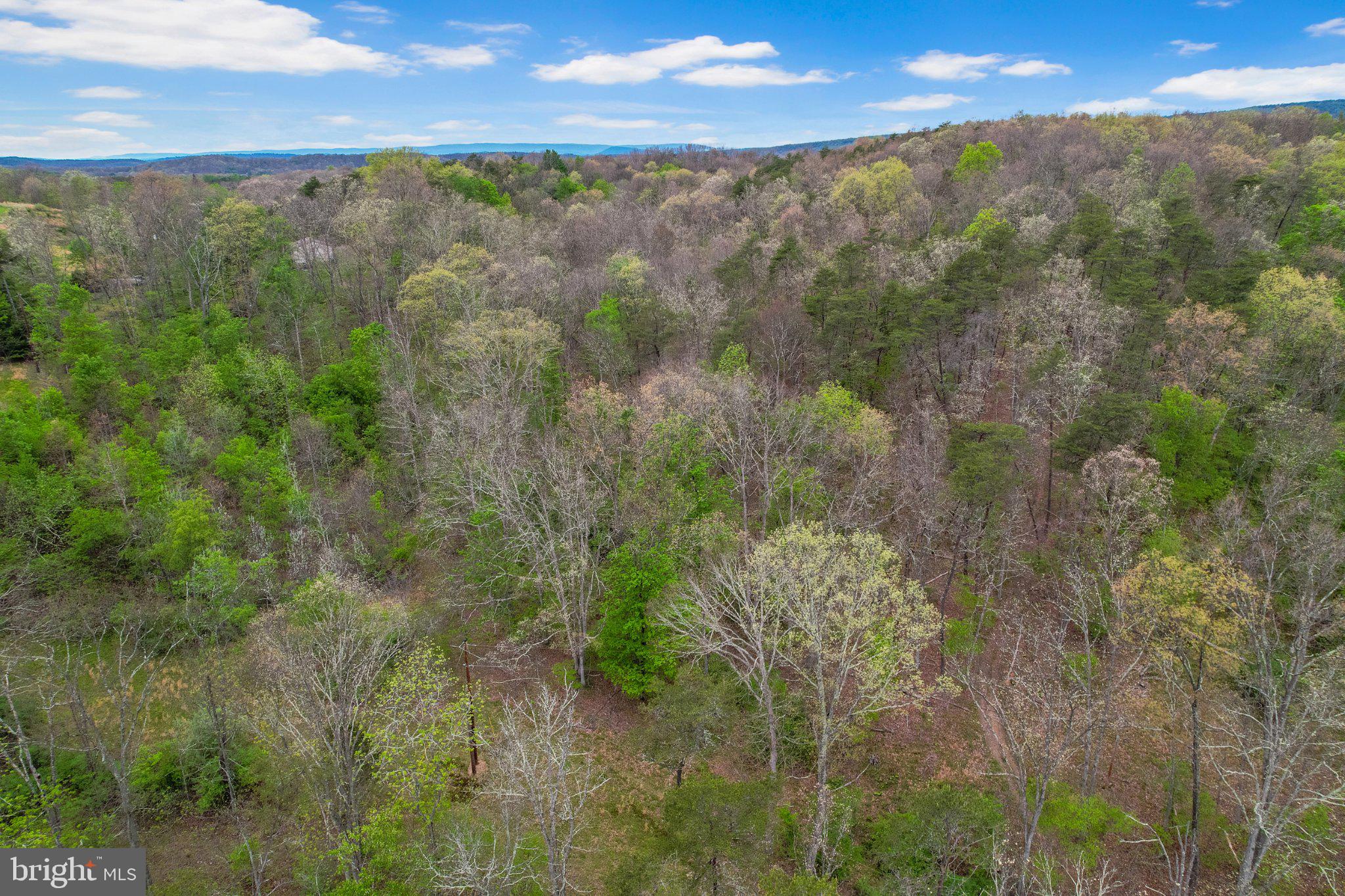 Bear Hill Road Southeast Oldtown, MD 21555 - Photo 13 of 15 a view of a lake from a forest
