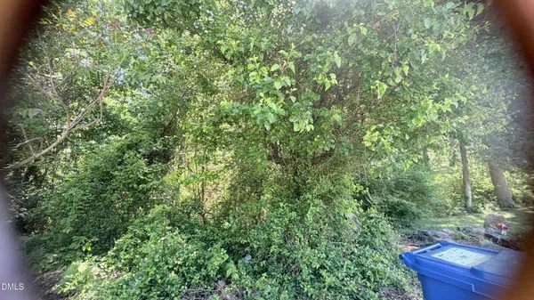 $32,000 | 1707 Wind Sound Way Drive, Siler City, NC 27344