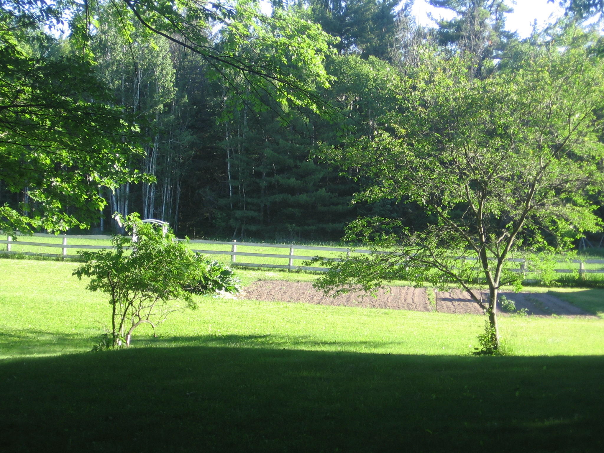12860 Atkinson Road Lachine, MI 49753 - Photo 12 of 14 Gallery Image 12