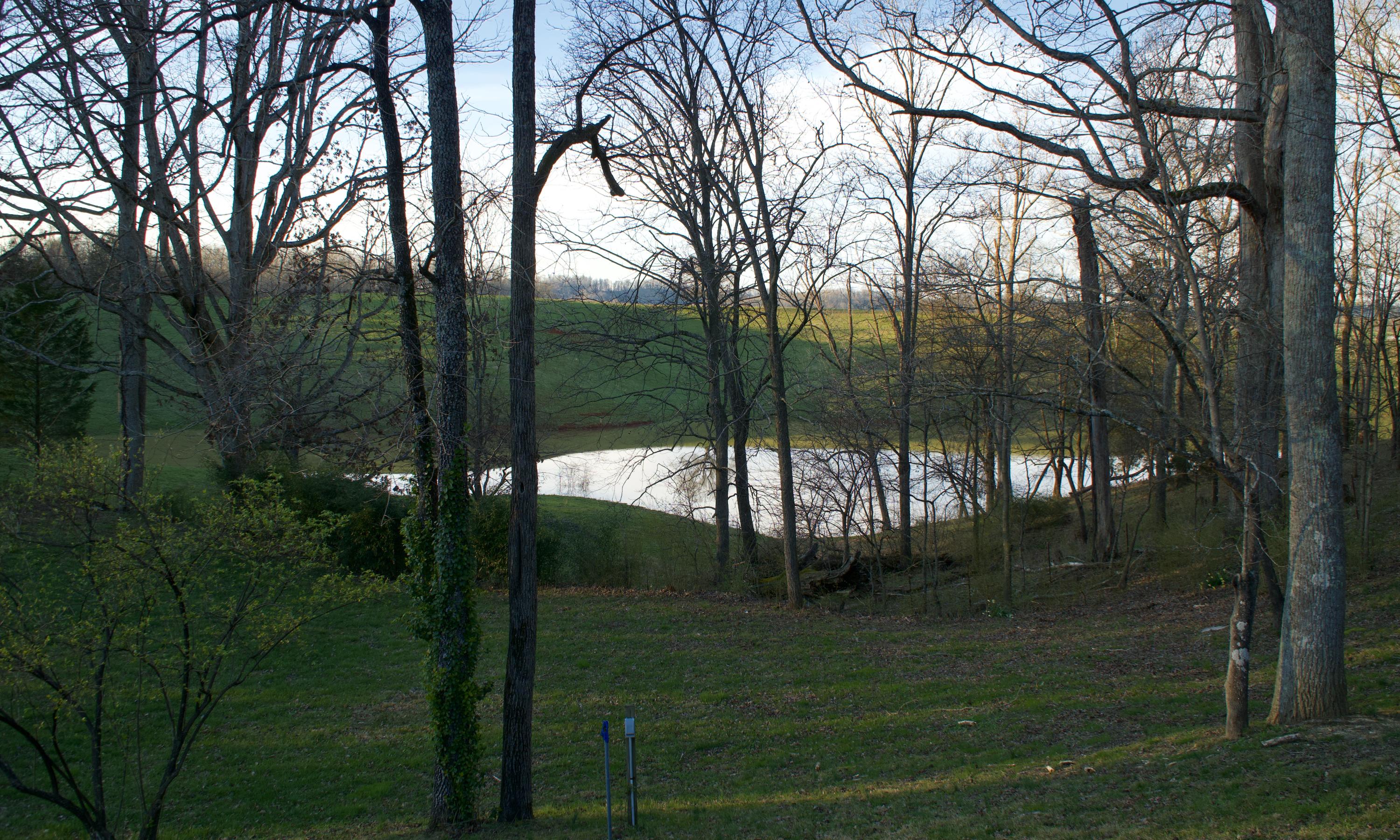 671 Thompson Road Madisonville, TN 37354 - Photo 35 of 39 thompson pond