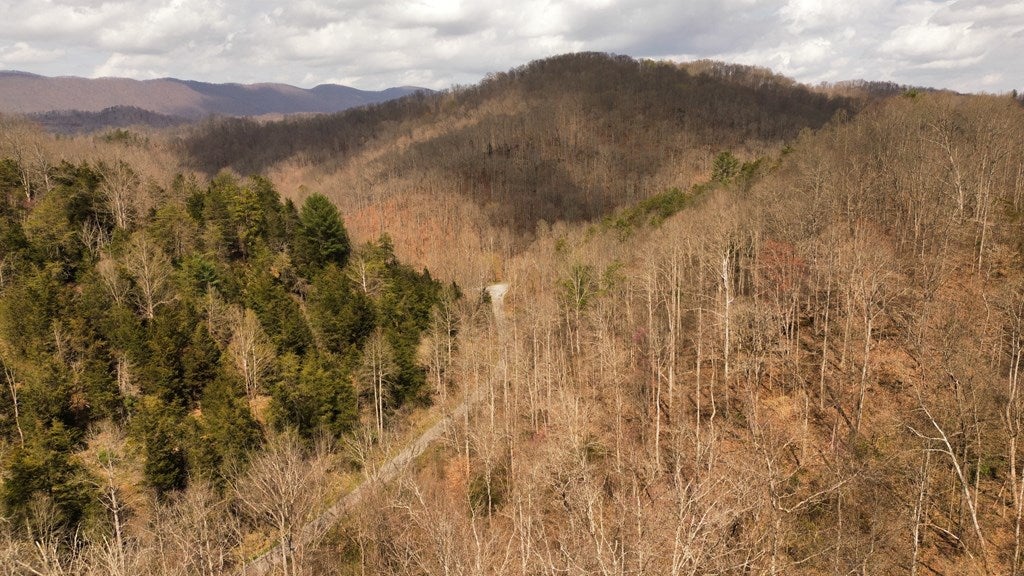Tbd Caney Valley Road Bristol, VA 24202 - Photo 9 of 23 Gallery Image 9