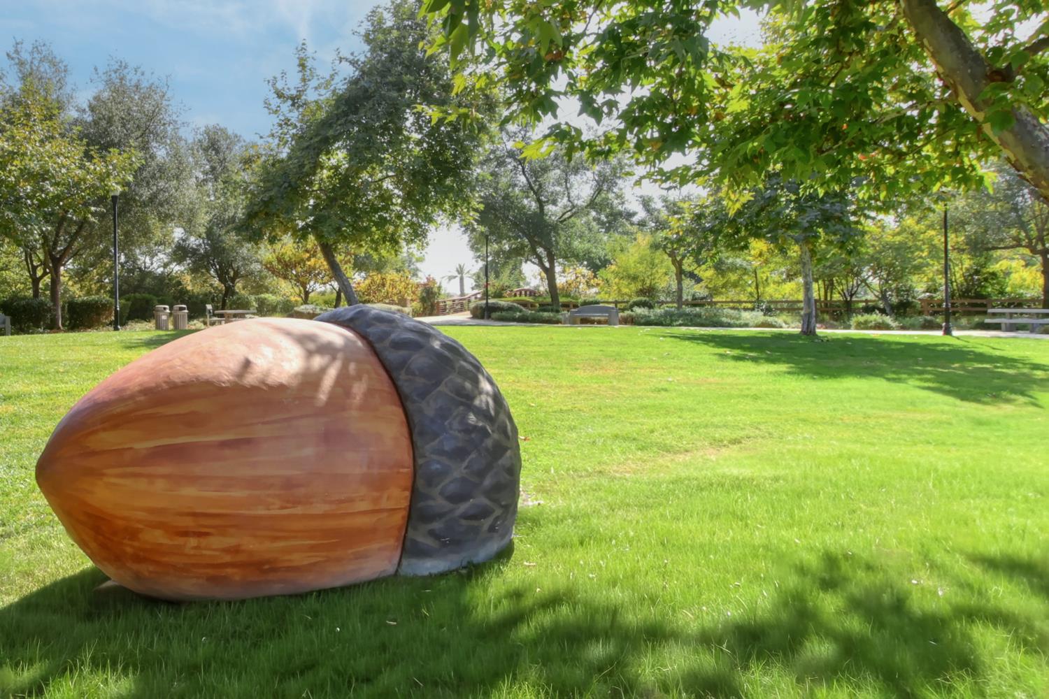 9644 Oakham Way Elk Grove, CA 95757 - Photo 76 of 77