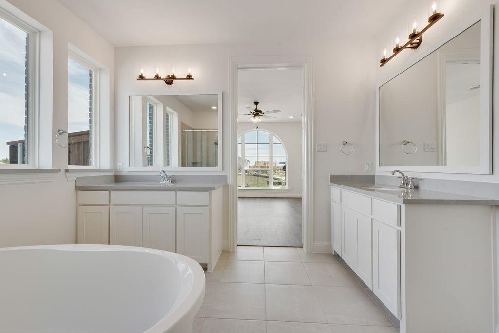248 Golden Run Drive Fate, TX 75189 - Photo 14 of 34 a bathroom with a sink vanity tub and a mirror