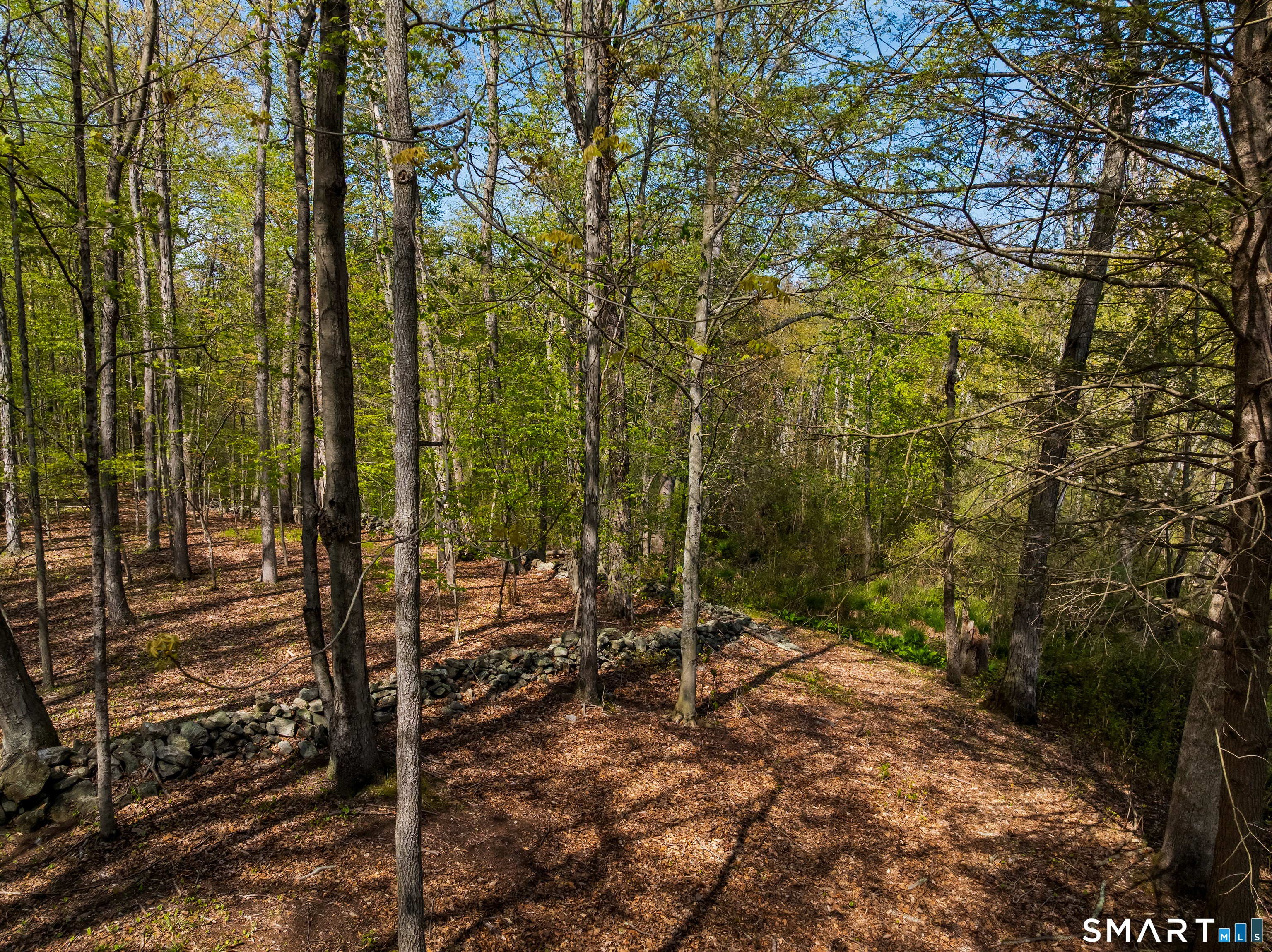 3808 Redding Road Fairfield, CT 06824 - Photo 39 of 40