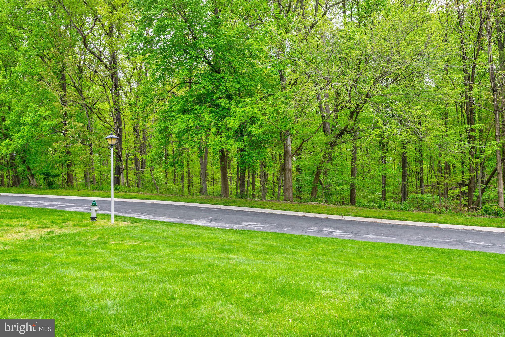 14404 Morton Hall Road Silver Spring, MD 20906 - Photo 40 of 41 View from front door