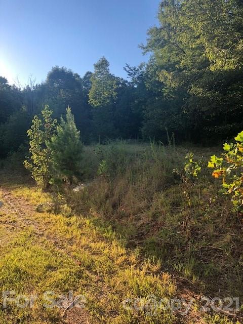 2853 Piney Ridge Street Vale, NC 28168 - Photo 6 of 16 a view of a yard