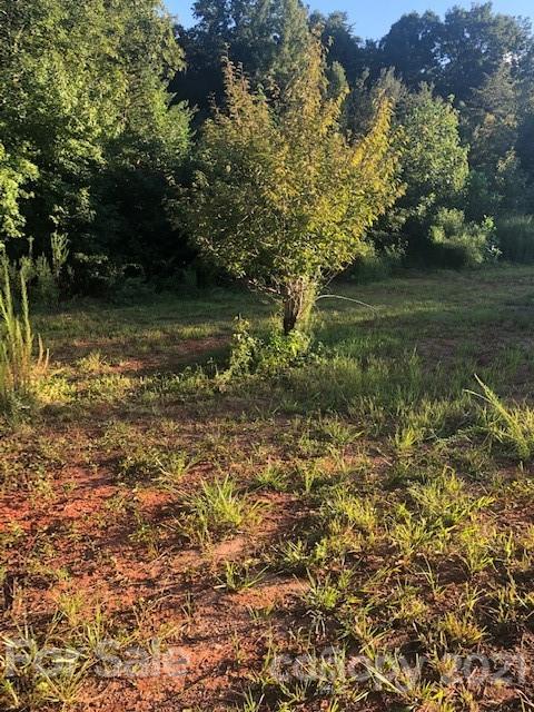2853 Piney Ridge Street Vale, NC 28168 - Photo 10 of 16 a view of lake with green space