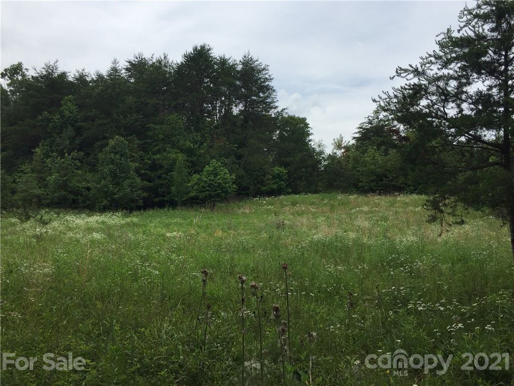 0 Pearidge Road, Unit 3 Rutherfordton, NC 28139 - Photo 1 of 22 Gallery Image 1