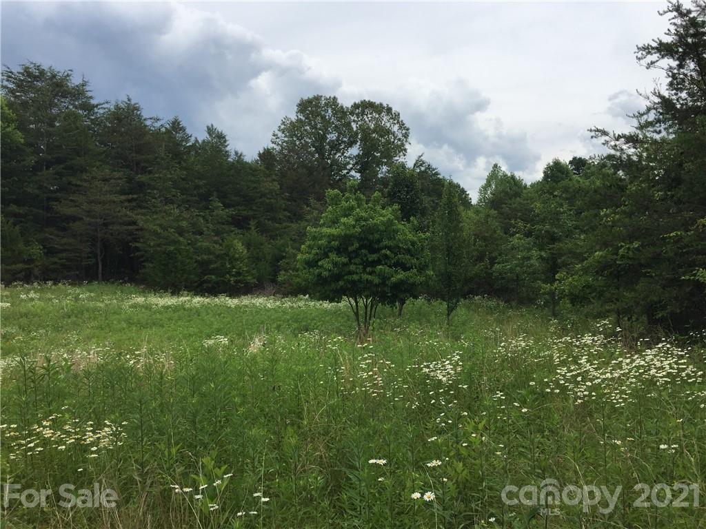 0 Pearidge Road, Unit 3 Rutherfordton, NC 28139 - Photo 11 of 22 Gallery Image 11