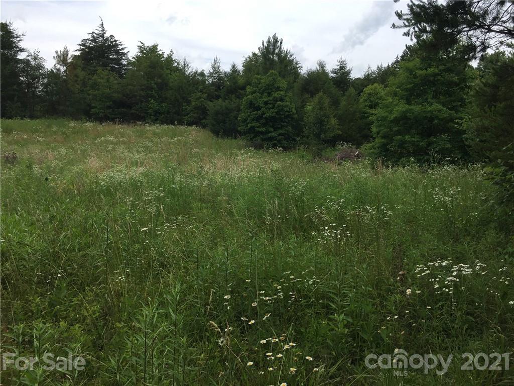0 Pearidge Road, Unit 3 Rutherfordton, NC 28139 - Photo 14 of 22 Gallery Image 14