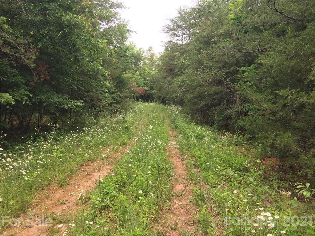 0 Pearidge Road, Unit 3 Rutherfordton, NC 28139 - Photo 17 of 22 Gallery Image 17