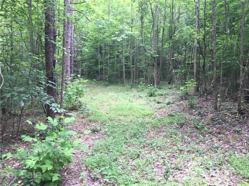 0 Pearidge Road, Unit 3 Rutherfordton, NC 28139 - Photo 18 of 22 Gallery Image 18
