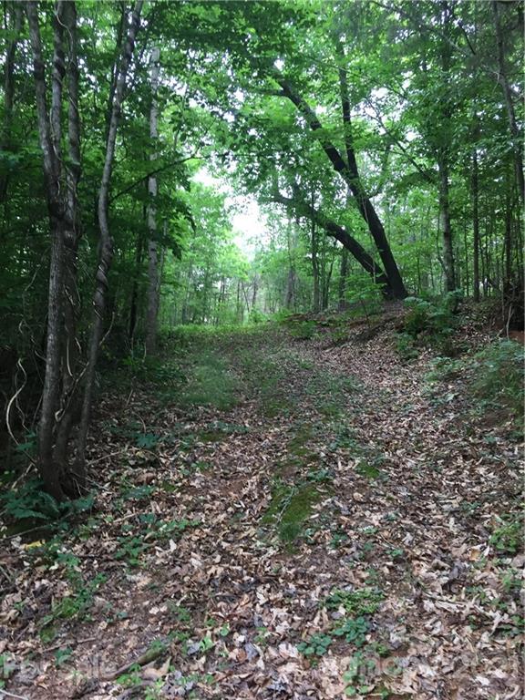 0 Pearidge Road, Unit 3 Rutherfordton, NC 28139 - Photo 4 of 22 Gallery Image 4