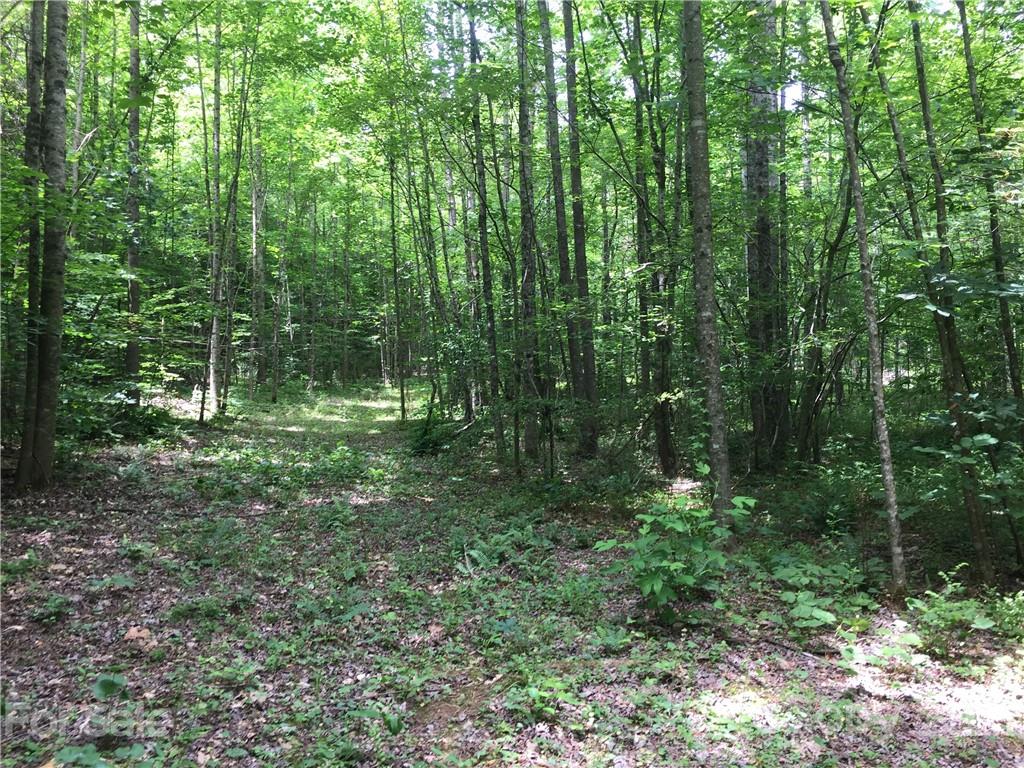 0 Pearidge Road, Unit 3 Rutherfordton, NC 28139 - Photo 6 of 22 Gallery Image 6