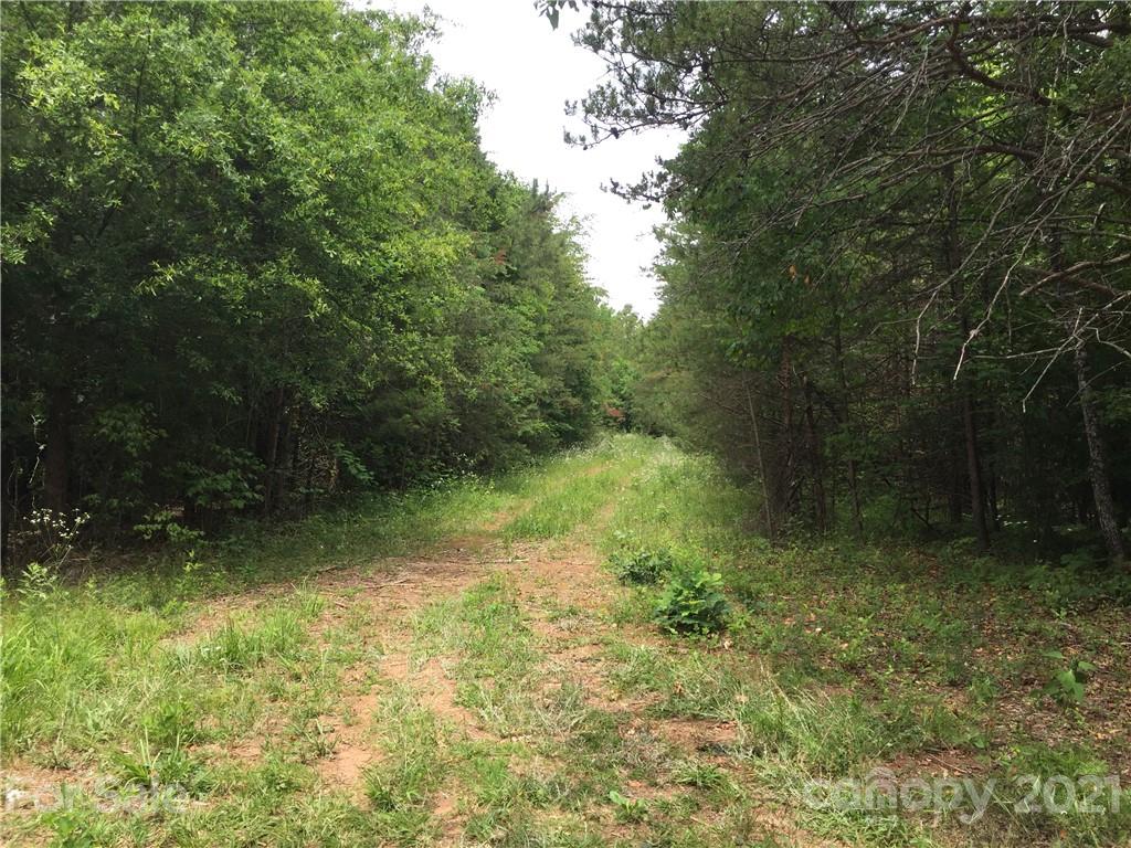 0 Pearidge Road, Unit 3 Rutherfordton, NC 28139 - Photo 10 of 22 Gallery Image 10