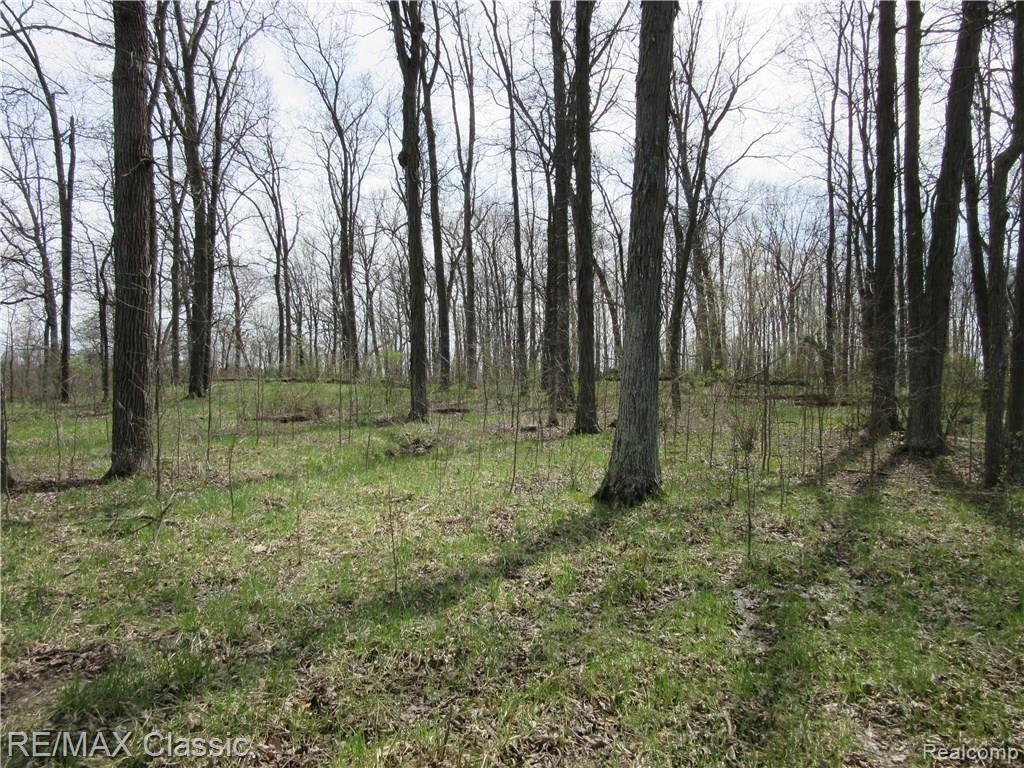 5 Foldenauer Drive Howell, MI 48843 - Photo 5 of 8