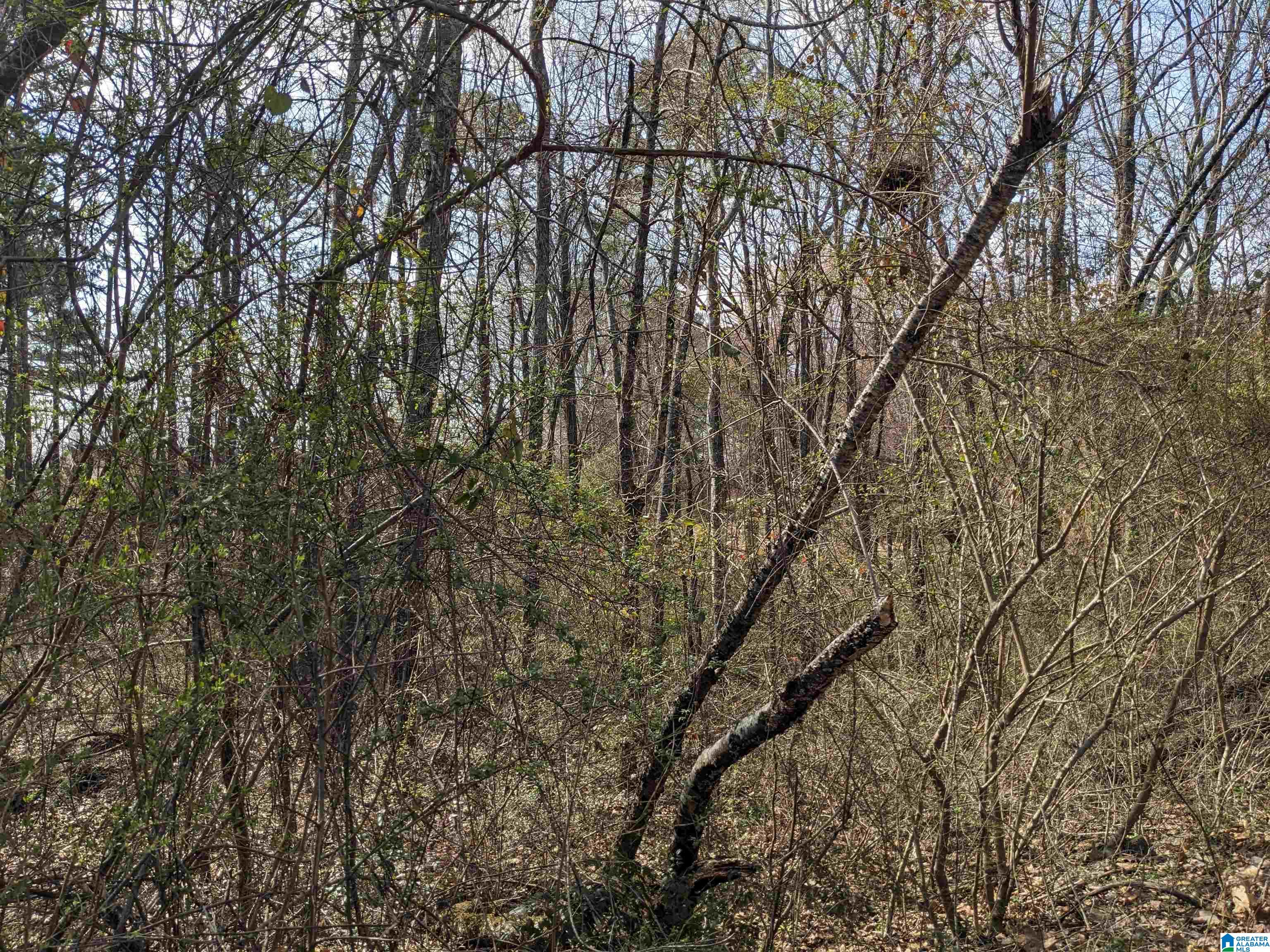 0 Hathaway Heights Road, Unit 2 & 3 Anniston, AL 36207 - Photo 8 of 30