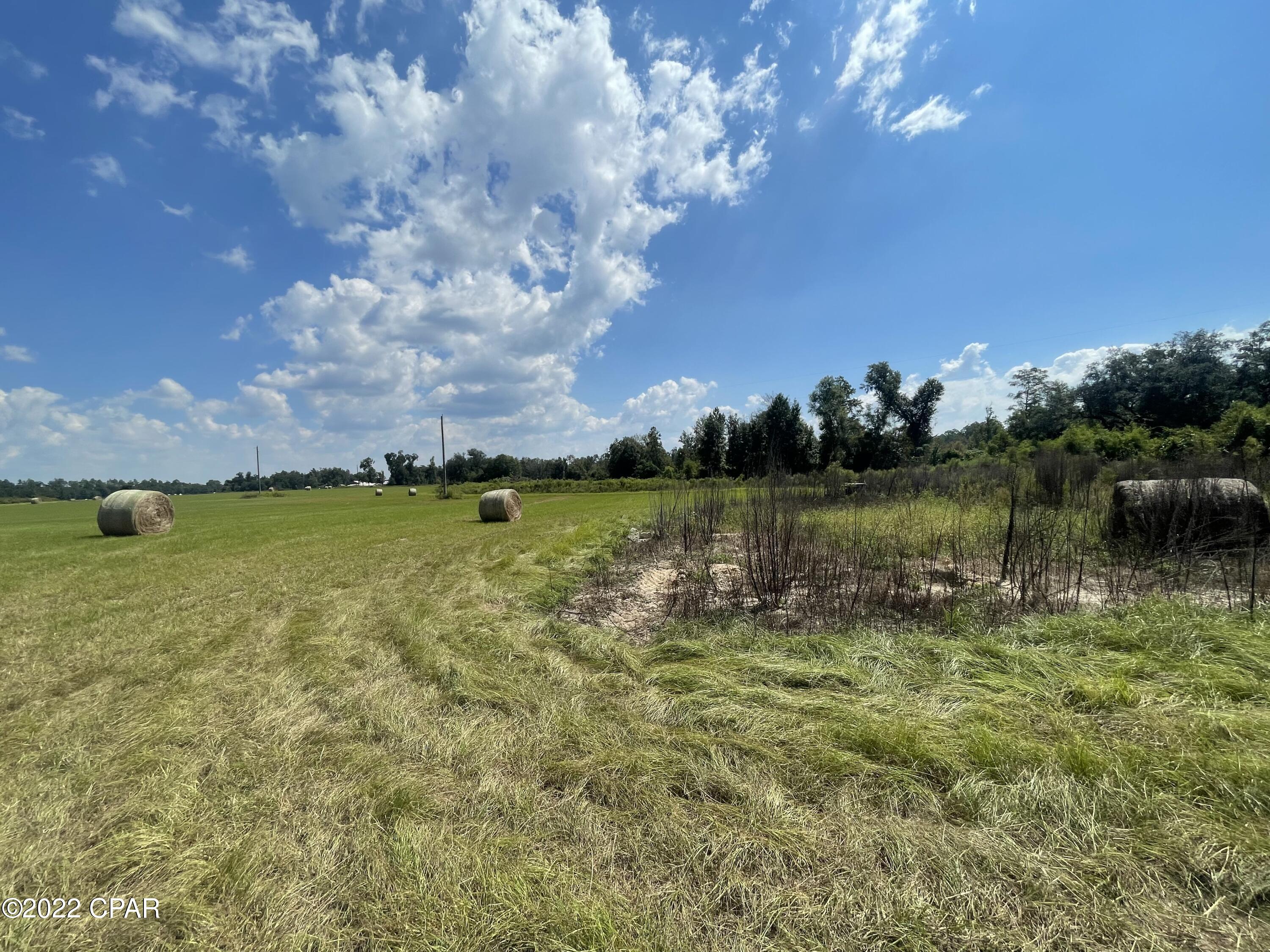 7146 Gilley Road Grand Ridge, FL 32442 - Photo 16 of 18 Gallery Image 16