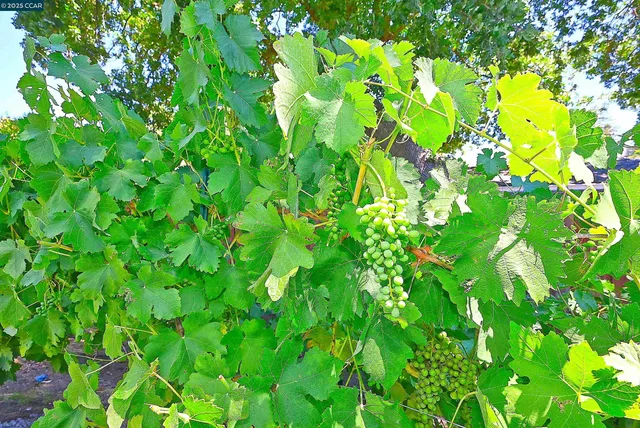 $2,600,000 | 421 Twin Oaks Lane, Walnut Creek, CA 94596