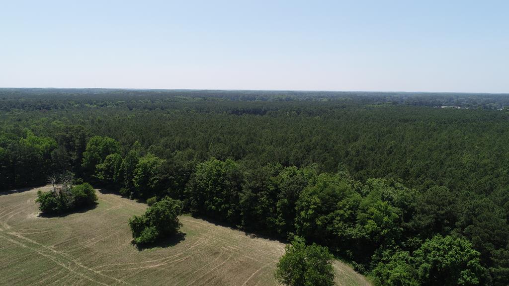 0 Cedar View Road Painter, VA 23420 - Photo 11 of 72