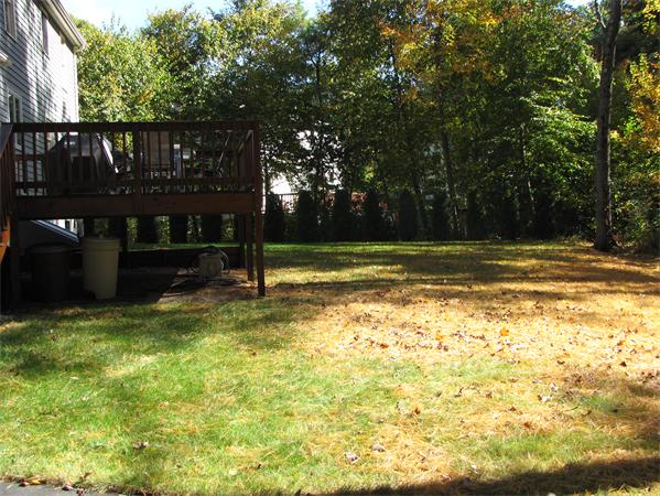 86 Alton Street Walpole, MA 02081 - Photo 25 of 26