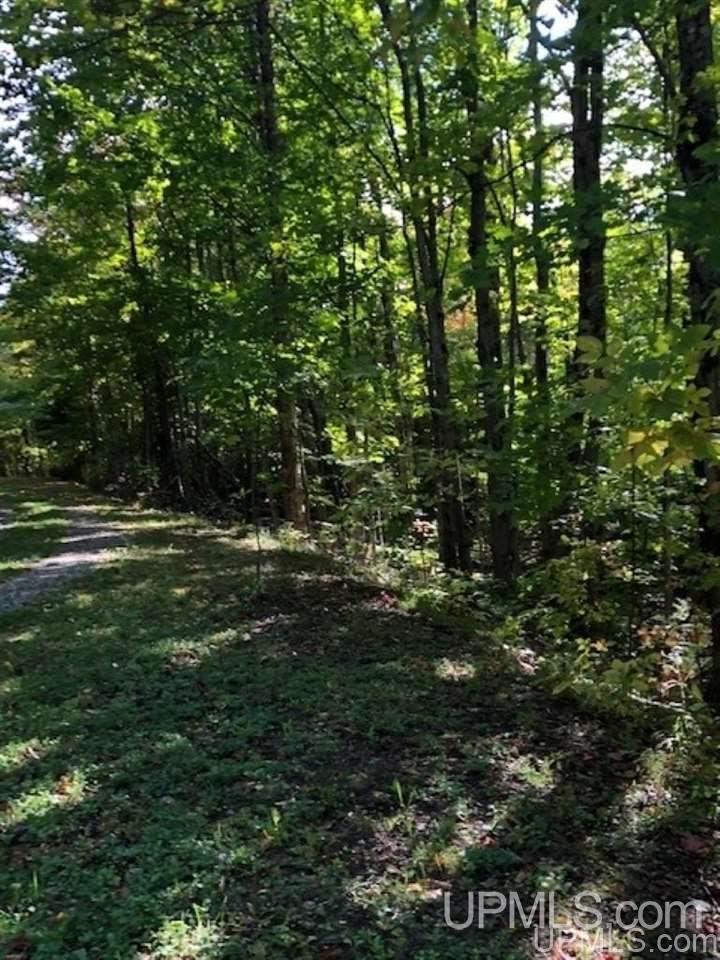 Tbd Koski Road Munising, MI 49862 - Photo 17 of 17