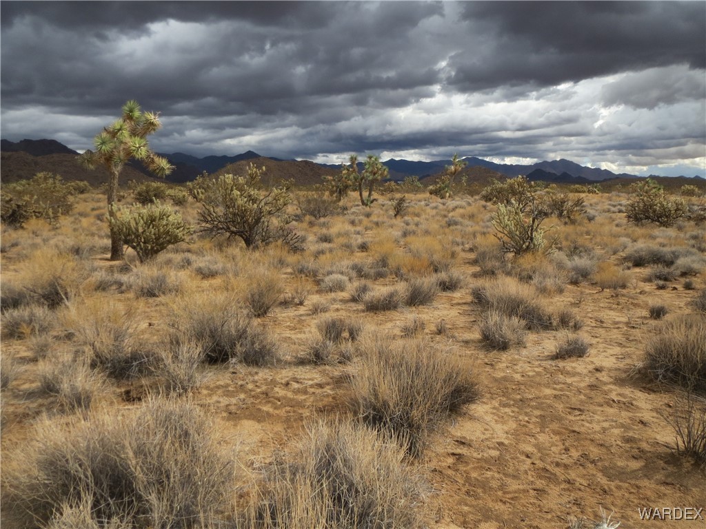 11844 South Desert View Road Yucca, AZ 86438 - Photo 1 of 11 Property View