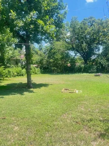 a view of a field with a tree