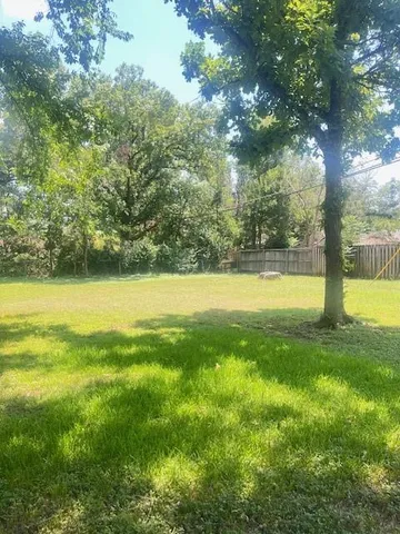 a view of a yard with a tree